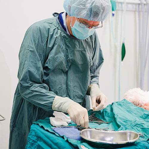 photo in surgery
